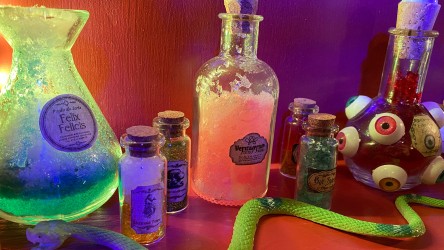 Verschiedene Gläser und Flaschen, die mit Zaubertränken gefüllt sind.