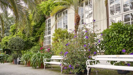 Drei weiße Bänke, umgeben von blühenden Pflanzen und Palmen vor einem Gewächshaus.